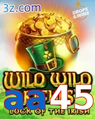 aa45